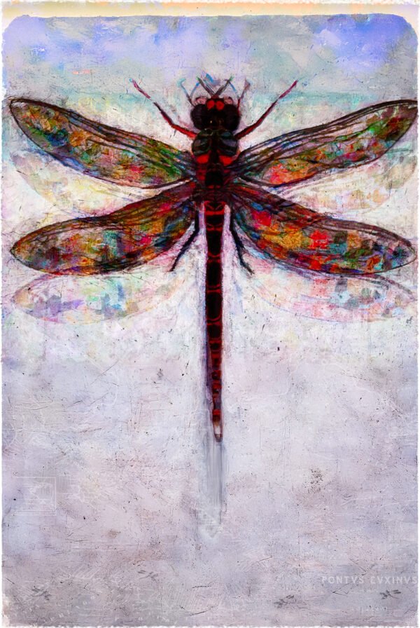 A contemporary impressionist artwork depicting an abstract dragonfly against a textured background